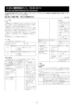 In Situ 細胞死検出キット、フルオレセイン