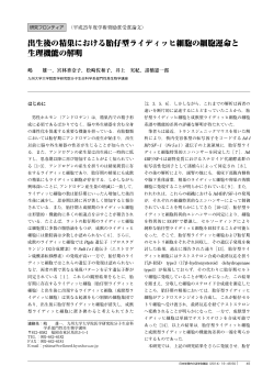 出生後の精巣における胎仔型ライディッヒ細胞の細胞運命と 生理機能の
