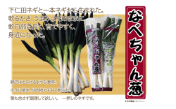 下仁田ネギと一本ネギから生まれた。 軟らかさ、うまみはそのままに