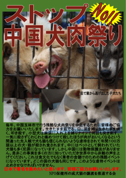 毎年、中国玉林市で行う残酷な犬肉祭りを中止するために皆様のご協 力