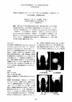 Page 1 Page 2 Page 3 厚生科学研究費補助金 (子ども家庭総合研究