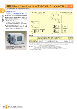 電気 電気スチームコンベクションオーブン（インジェクションタイプ） B-1