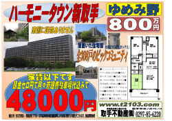 マンション名／ハーモニー タウン新取手弐番館  所在／ 野々井 1101
