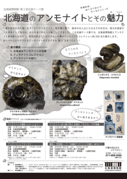 リーフレット（裏）［PDF･236KB］