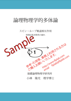 論理物理学的多体論 - 基礎論理物理学研究所