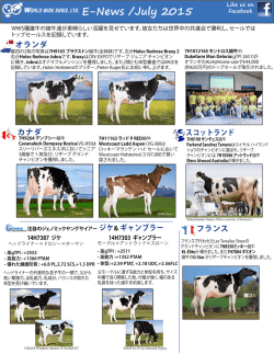 ワールド ワイド サイアーズ E