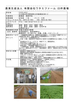 法人概要