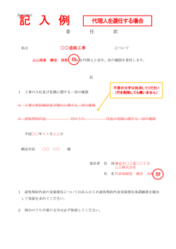 記 入 例
