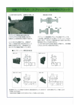 滞融スラグ入り スプリッ トン 粗面間知ブロック