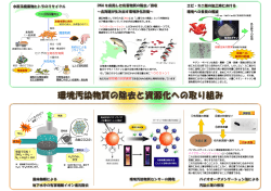 環境への 負荷の軽減 1000トン！ ヒトデの生物活性物質 資源利用 有効