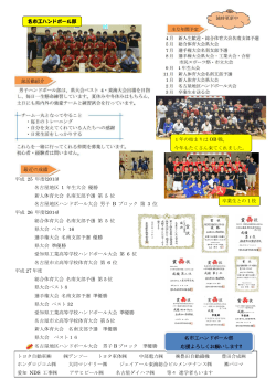 平成 25 年度(2013) 愛知県工業高等学校ハンドボール大会 準優勝