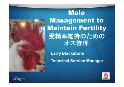 Male Management to Maintain Fertility 受精率維持のための オス管理