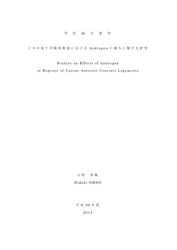 論文要旨