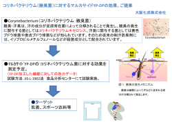 資料PDF - 大阪化成株式会社