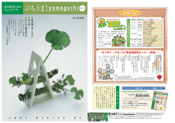 見つめて！やまぐち