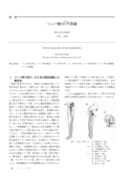 リンパ管の7 不思議 - 日本リンパ学会 ホームページ