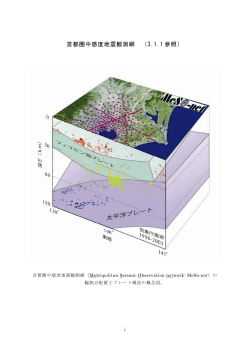 首都圏中感度地震観測網 （3.1.1 参照）