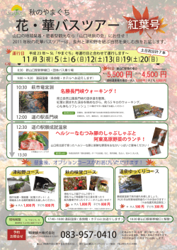 花・華バスツアー 紅葉号 - 山口市観光情報サイト 「西の京 やまぐち」