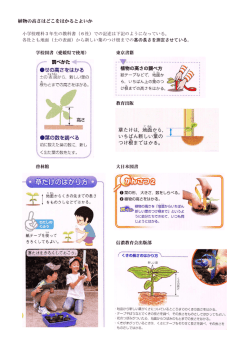 植物の高さはどこをはかるとよいか