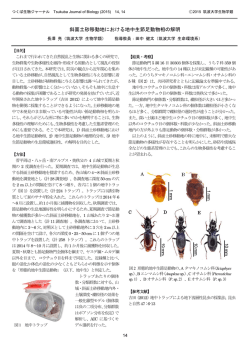 斜面土砂移動地における地中生節足動物相の解明