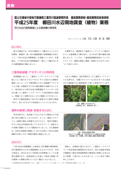 FF2015 平成25年度 櫛田川水辺現地調査（植物）業務