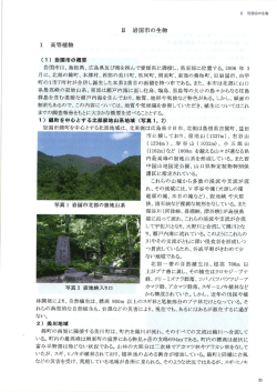 ー 高等植物