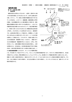 植物育成論 - Biglobe