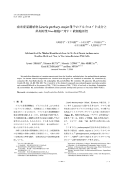 南米産薬用植物Licaria puchury-major種子の