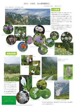 2015 白馬岳 高山植物観察会 八方尾根 栂池自然園
