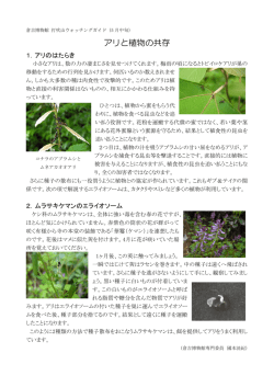 アリと植物の共存