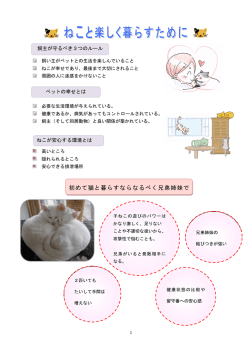 初めて猫と暮らすならなるべく兄弟姉妹で