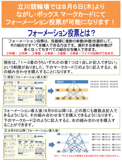 フォーメーション投票について[pdfファイル]