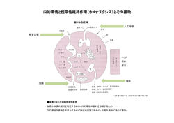 内的環境と恒常性維持作用（ホメオスタシス）とその援助