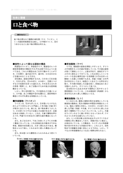 展示解説書（口と食べ物）