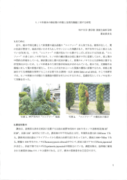 新良貴 歩美 - 神戸市公園緑化協会
