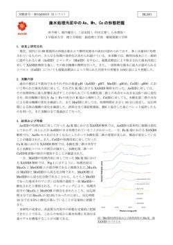 廃水処理汚泥中の As、Mn、Co の形態把握