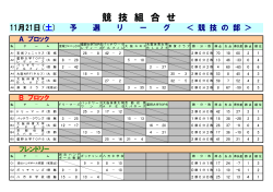 文部科学大臣杯 第13回日本車椅子ハンドボール競技大会の結果