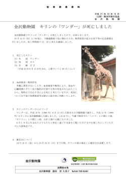 金沢動物園 キリンの「ワンダー」が死亡しました