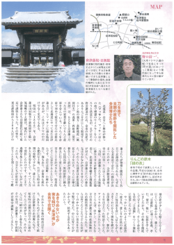 img-207140419