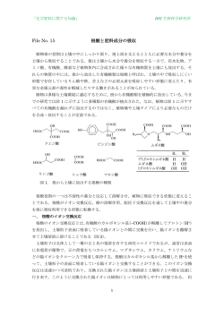 根酸と肥料養分の吸収 - BSI生物科学研究所