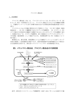 プロピオン酸血症 - 日本先天代謝異常学会