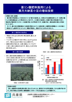 亜リン酸肥料施用による 美方大納言小豆の増収技術