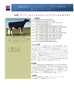 詳細を見る