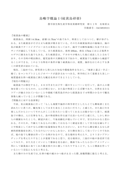 レポート（PDF）