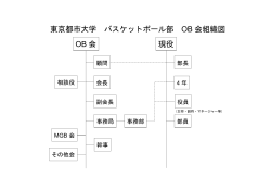 OB 会 現役 東京都市大学 バスケットボール部 OB 会組織図
