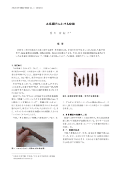本草綱目における紫鑛