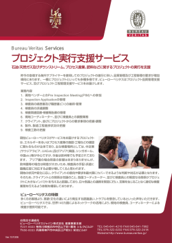 フライヤー「プロジェクト実行支援サービス」