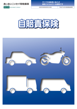 自賠責保険 自動車損害賠償責任保険
