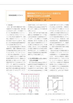 幾何学的フラストレーションを有する 磁性体のESR