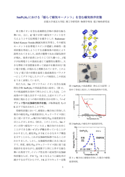 「揺らぐ磁気モーメント」を含む磁気秩序状態 - 電子物性研究室